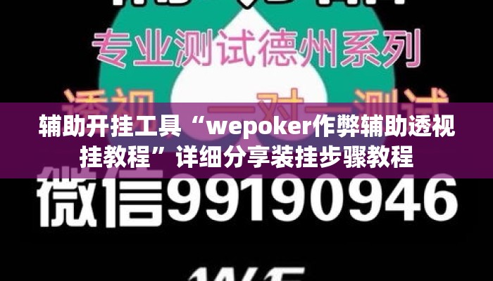 辅助开挂工具“wepoker作弊辅助透视挂教程”详细分享装挂步骤教程