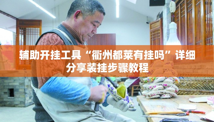 辅助开挂工具“衢州都莱有挂吗”详细分享装挂步骤教程