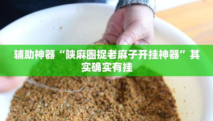 辅助神器“陕麻圈捉老麻子开挂神器”其实确实有挂