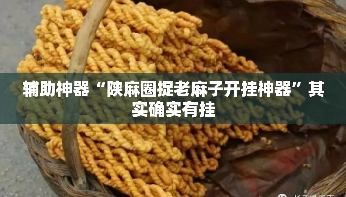 辅助神器“陕麻圈捉老麻子开挂神器	”其实确实有挂