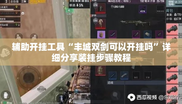 辅助开挂工具“丰城双剑可以开挂吗”详细分享装挂步骤教程