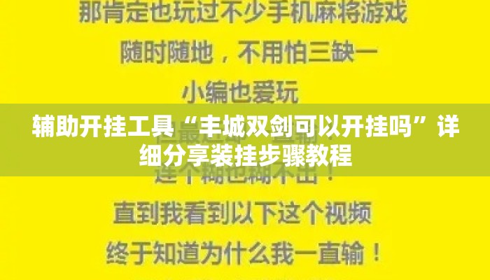 辅助开挂工具“丰城双剑可以开挂吗”详细分享装挂步骤教程