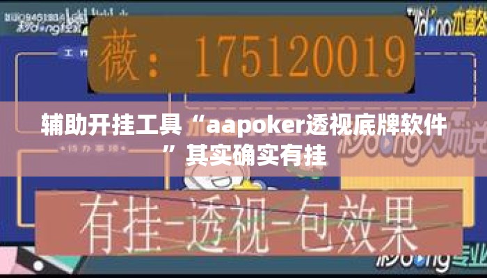 辅助开挂工具“aapoker透视底牌软件”其实确实有挂