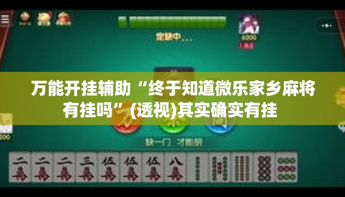万能开挂辅助“终于知道微乐家乡麻将有挂吗”(透视)其实确实有挂 