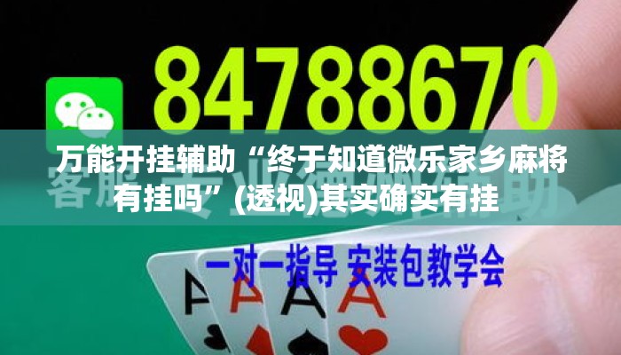 万能开挂辅助“终于知道微乐家乡麻将有挂吗”(透视)其实确实有挂 