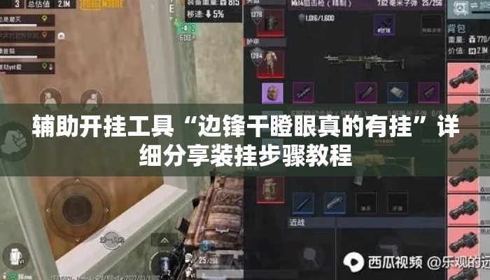 辅助开挂工具“边锋干瞪眼真的有挂”详细分享装挂步骤教程