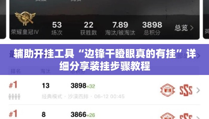 辅助开挂工具“边锋干瞪眼真的有挂”详细分享装挂步骤教程