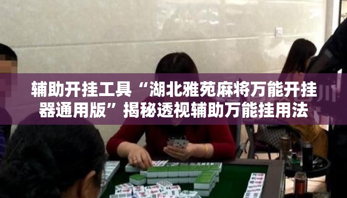 辅助开挂工具“湖北雅苑麻将万能开挂器通用版	”揭秘透视辅助万能挂用法