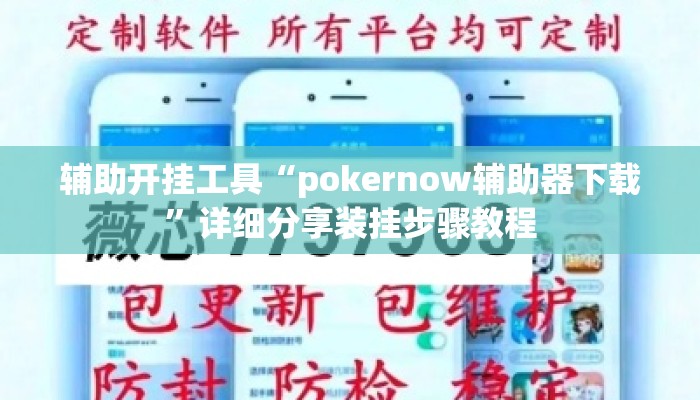 辅助开挂工具“pokernow辅助器下载”详细分享装挂步骤教程