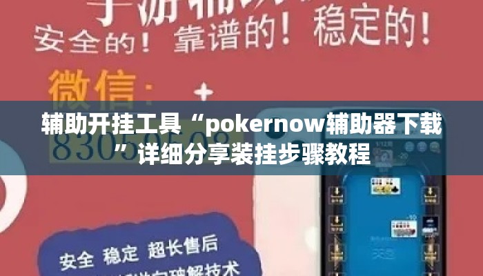 辅助开挂工具“pokernow辅助器下载”详细分享装挂步骤教程