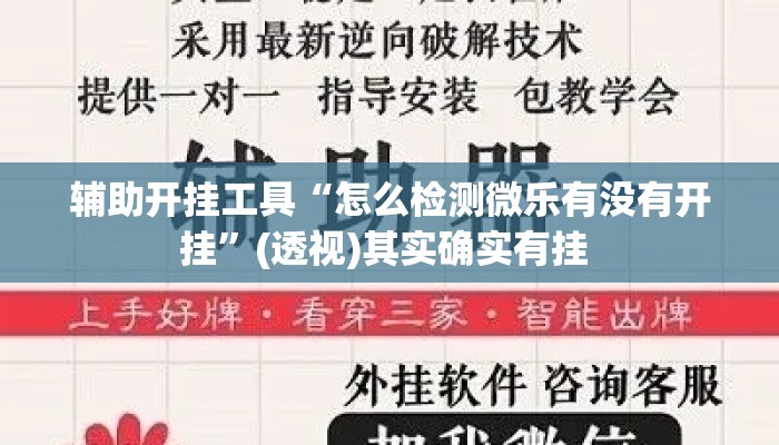 辅助开挂工具“怎么检测微乐有没有开挂”(透视)其实确实有挂 