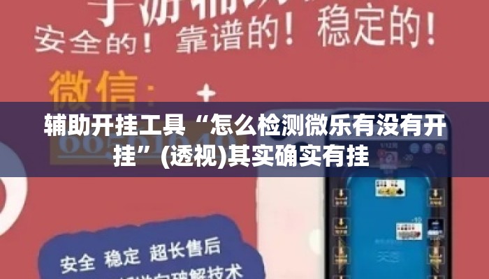 辅助开挂工具“怎么检测微乐有没有开挂”(透视)其实确实有挂 