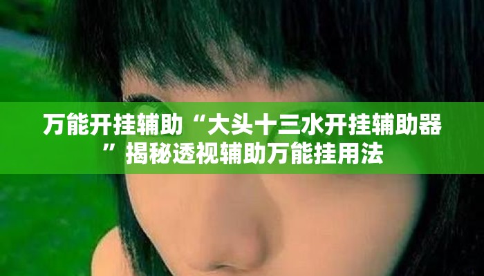 万能开挂辅助“大头十三水开挂辅助器”揭秘透视辅助万能挂用法