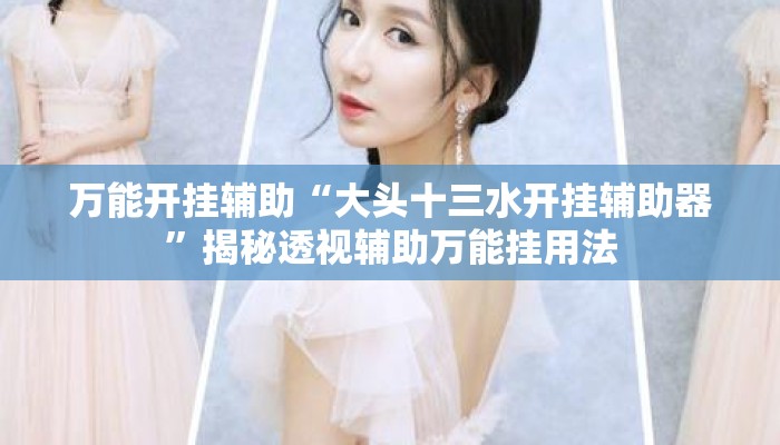 万能开挂辅助“大头十三水开挂辅助器”揭秘透视辅助万能挂用法