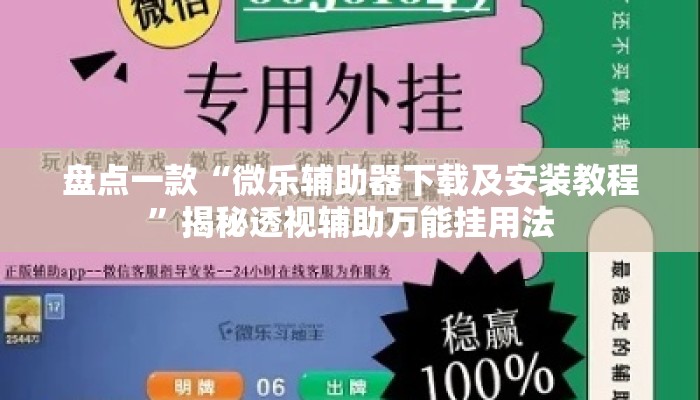 盘点一款“微乐辅助器下载及安装教程”揭秘透视辅助万能挂用法