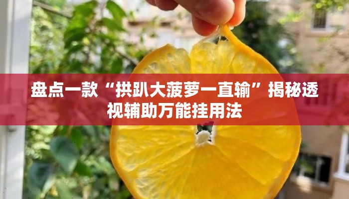 盘点一款“拱趴大菠萝一直输”揭秘透视辅助万能挂用法