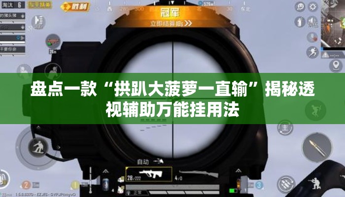 盘点一款“拱趴大菠萝一直输”揭秘透视辅助万能挂用法