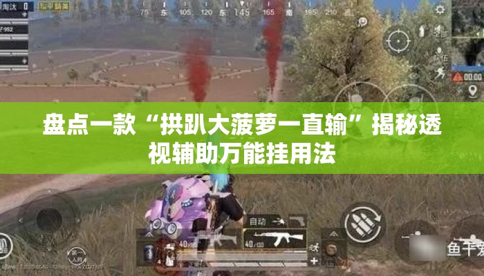 盘点一款“拱趴大菠萝一直输”揭秘透视辅助万能挂用法