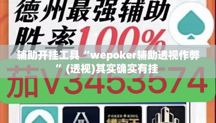 辅助开挂工具“wepoker辅助透视作弊”(透视)其实确实有挂 
