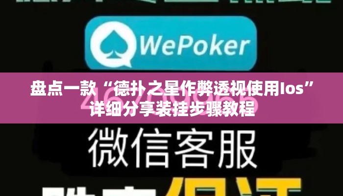 盘点一款“德扑之星作弊透视使用Ios”详细分享装挂步骤教程