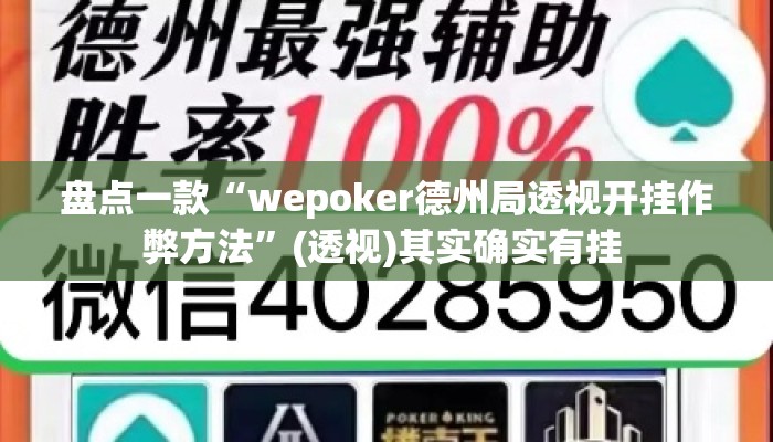 盘点一款“wepoker德州局透视开挂作弊方法”(透视)其实确实有挂 