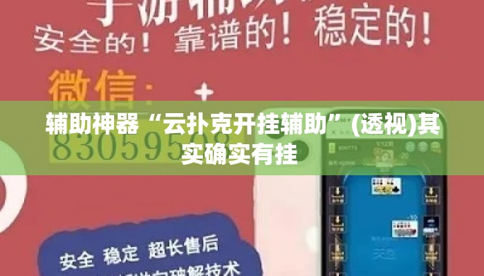 辅助神器“云扑克开挂辅助”(透视)其实确实有挂 