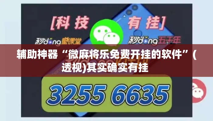 辅助神器“微麻将乐免费开挂的软件”(透视)其实确实有挂 