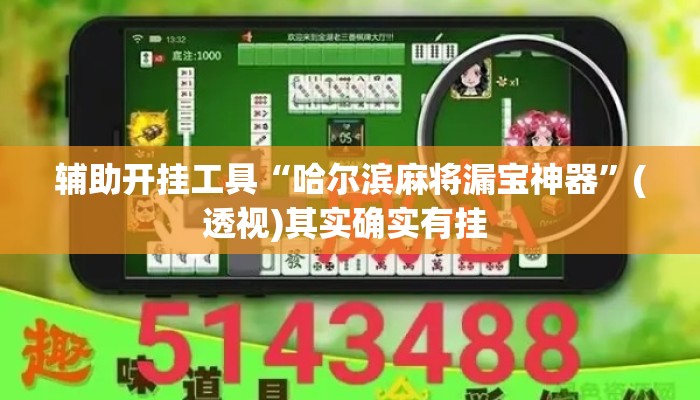 辅助开挂工具“哈尔滨麻将漏宝神器	”(透视)其实确实有挂 