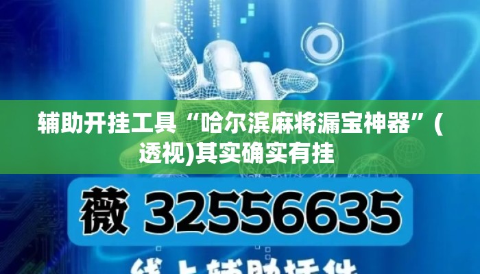 辅助开挂工具“哈尔滨麻将漏宝神器”(透视)其实确实有挂 