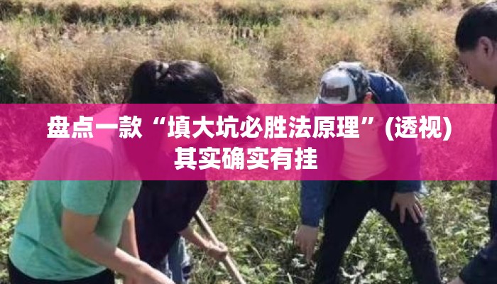 盘点一款“填大坑必胜法原理	”(透视)其实确实有挂 
