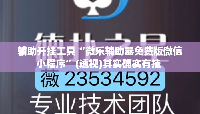 辅助开挂工具“微乐辅助器免费版微信小程序	”(透视)其实确实有挂 