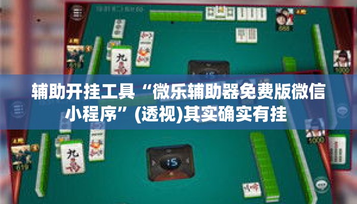辅助开挂工具“微乐辅助器免费版微信小程序”(透视)其实确实有挂 