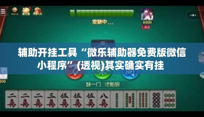 辅助开挂工具“微乐辅助器免费版微信小程序	”(透视)其实确实有挂 