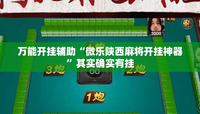 万能开挂辅助“微乐陕西麻将开挂神器”其实确实有挂