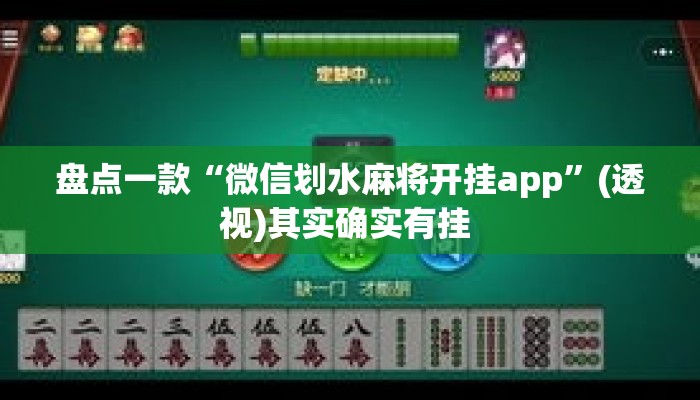 盘点一款“微信划水麻将开挂app	”(透视)其实确实有挂 
