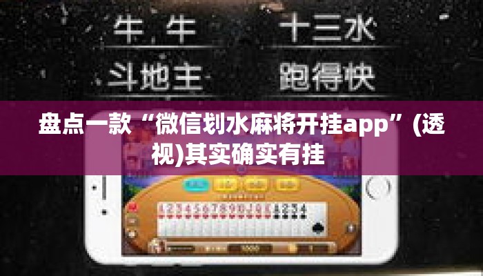 盘点一款“微信划水麻将开挂app”(透视)其实确实有挂 