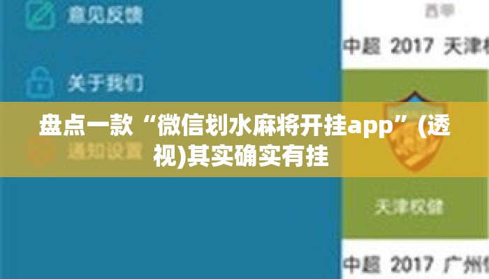 盘点一款“微信划水麻将开挂app”(透视)其实确实有挂 