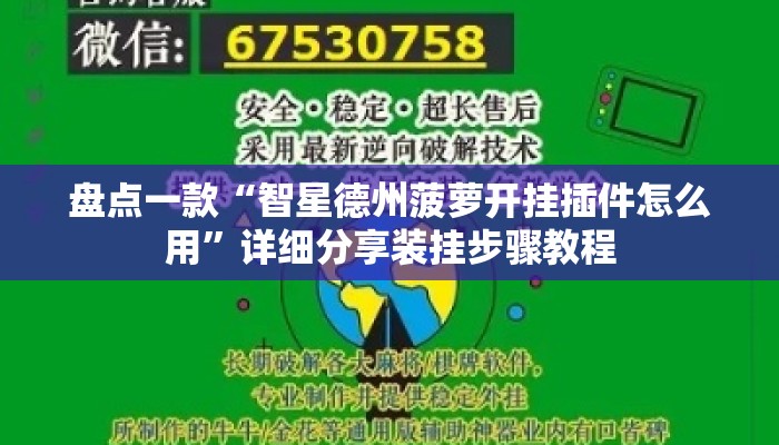 盘点一款“智星德州菠萝开挂插件怎么用”详细分享装挂步骤教程