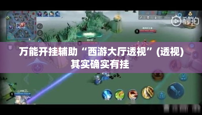 万能开挂辅助“西游大厅透视	”(透视)其实确实有挂 
