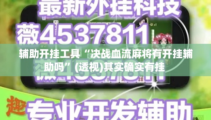 辅助开挂工具“决战血流麻将有开挂辅助吗”(透视)其实确实有挂 