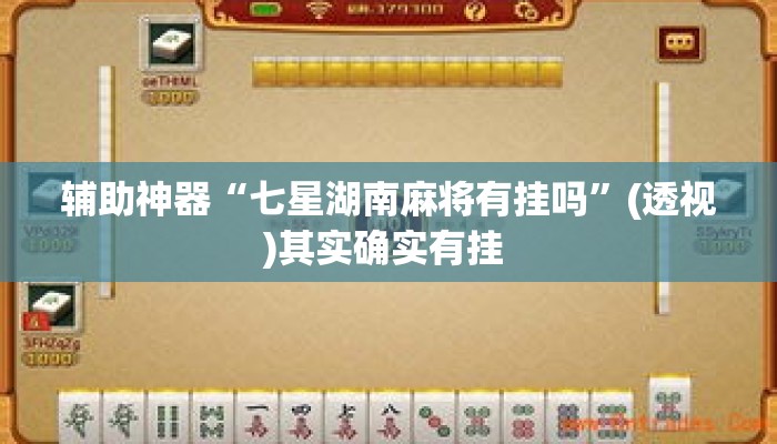 辅助神器“七星湖南麻将有挂吗	”(透视)其实确实有挂 