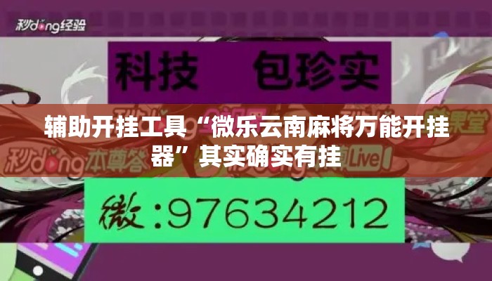 辅助开挂工具“微乐云南麻将万能开挂器”其实确实有挂