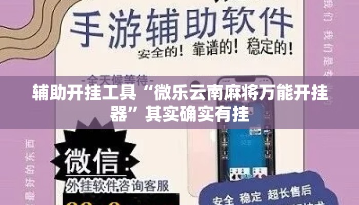 辅助开挂工具“微乐云南麻将万能开挂器	”其实确实有挂