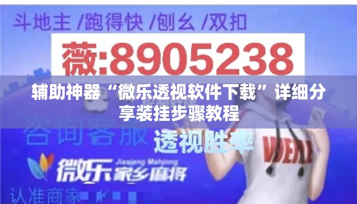 辅助神器“微乐透视软件下载”详细分享装挂步骤教程