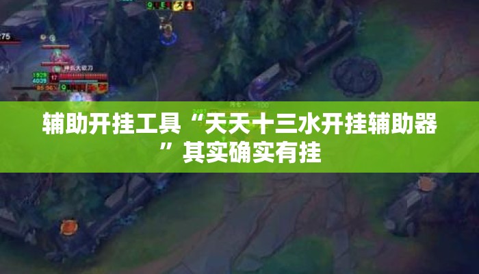 辅助开挂工具“天天十三水开挂辅助器”其实确实有挂