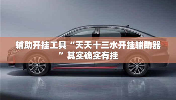 辅助开挂工具“天天十三水开挂辅助器”其实确实有挂