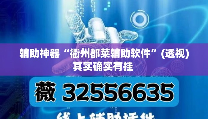 辅助神器“衢州都莱辅助软件”(透视)其实确实有挂 