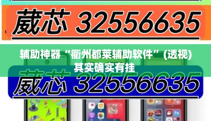 辅助神器“衢州都莱辅助软件	”(透视)其实确实有挂 