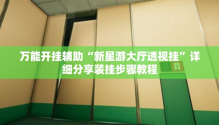 万能开挂辅助“新星游大厅透视挂	”详细分享装挂步骤教程