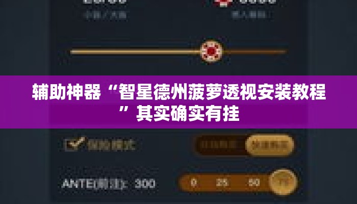 辅助神器“智星德州菠萝透视安装教程	”其实确实有挂
